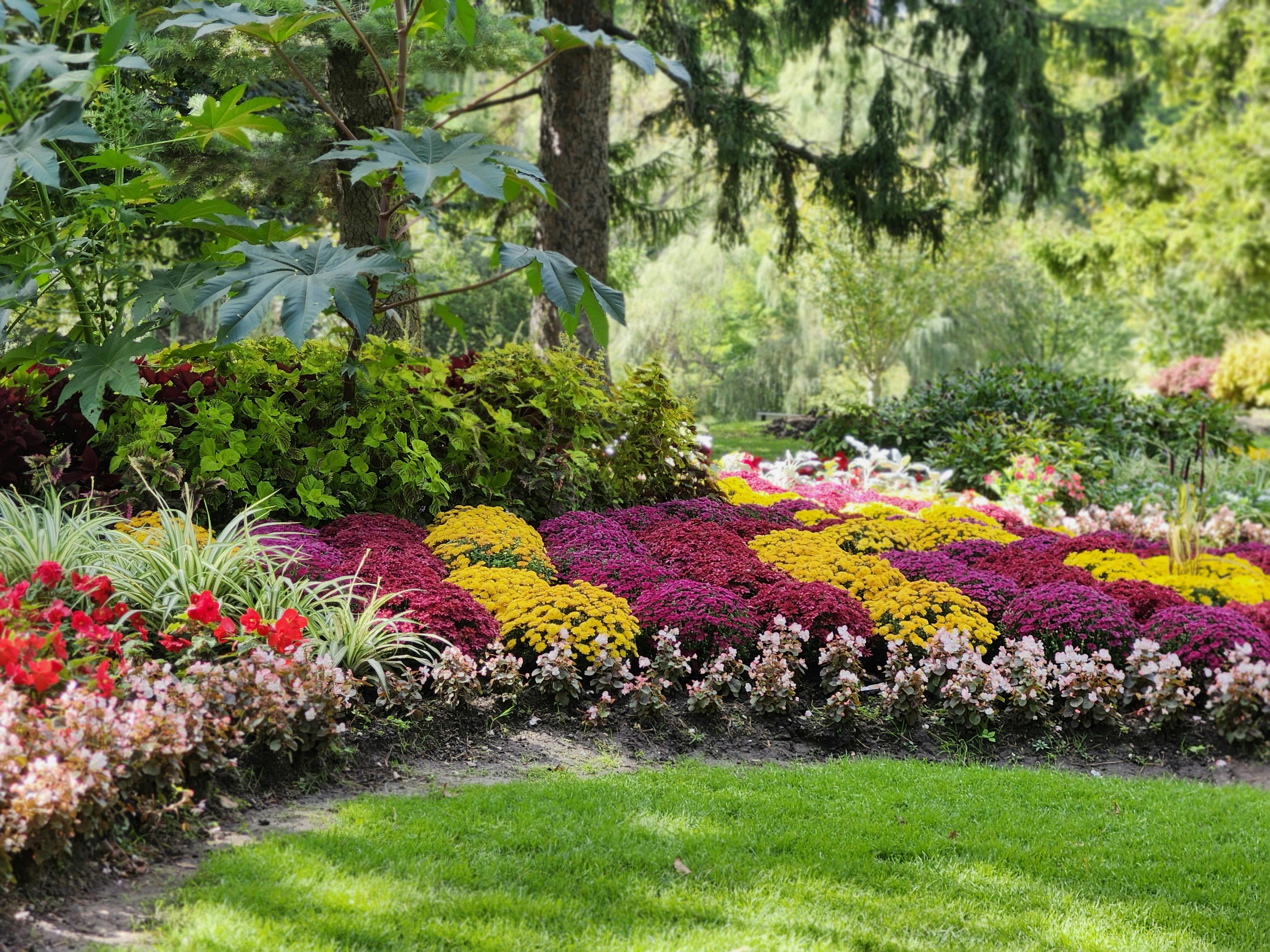 Entretien de massifs par paysagiste Hush Garden Saint-Just