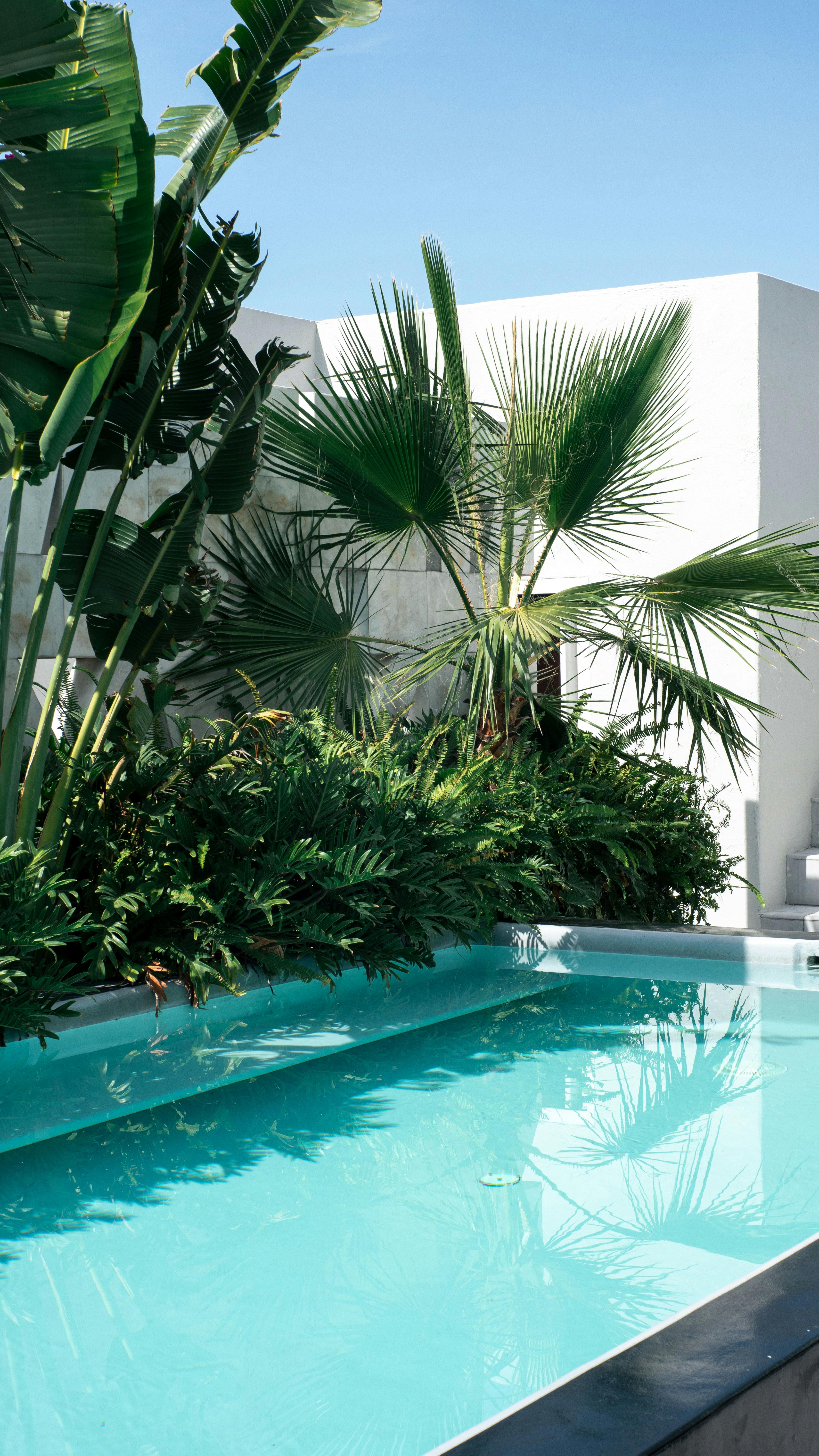 Jardin entretenu par paysagiste Hush Garden Saint-Just